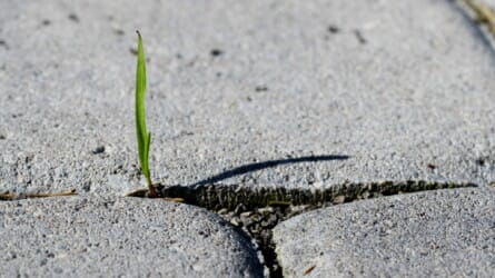 *ONLINE* Thinking On Sunday: Why Rebel? A Politics of Kindness