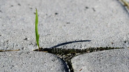 *ONLINE* Thinking On Sunday: Why Rebel? A Politics of Kindness