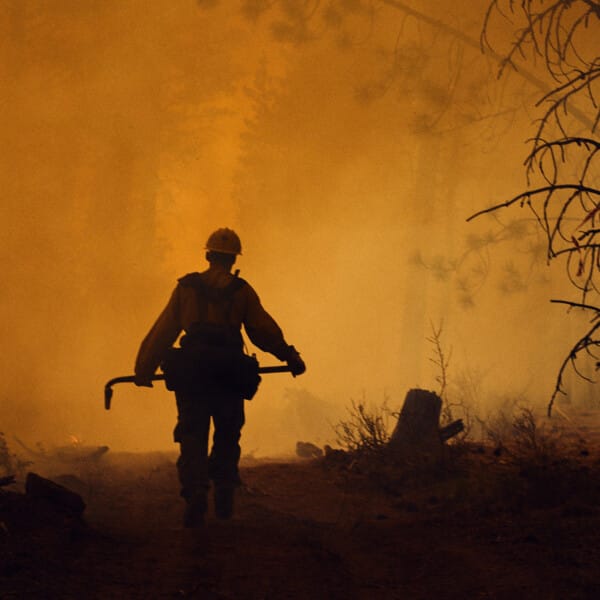 This image shows a firefighter tackling a forest fire. The orange haze in the background creates a dark silhouette of them and the nearby trees.