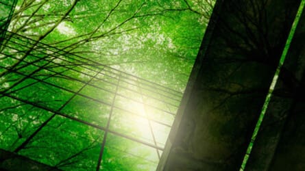 From Thoughts to Paper – Writers Workshop