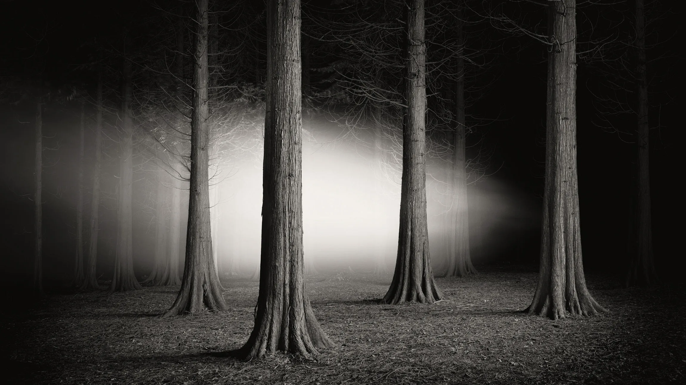 The Haunted Landscape: Folklore, Monsters and Ghosts The Haunted Landscape: Folklore, Monsters and Ghosts