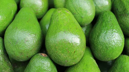 Ethical Eating