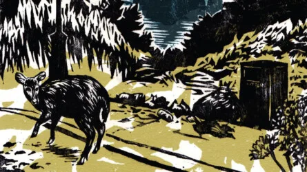 Wild City: Living with Urban Wildlife