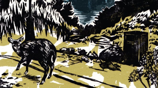 Ethical Matters: Wild City: Living with Urban Wildlife