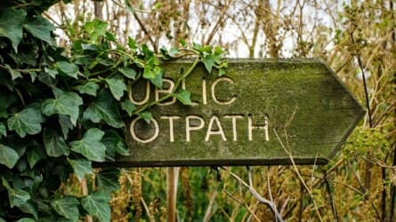 The Lost Paths: A History of How We Walk from Here to There