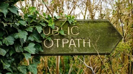 The Lost Paths: A History of How We Walk from Here to There