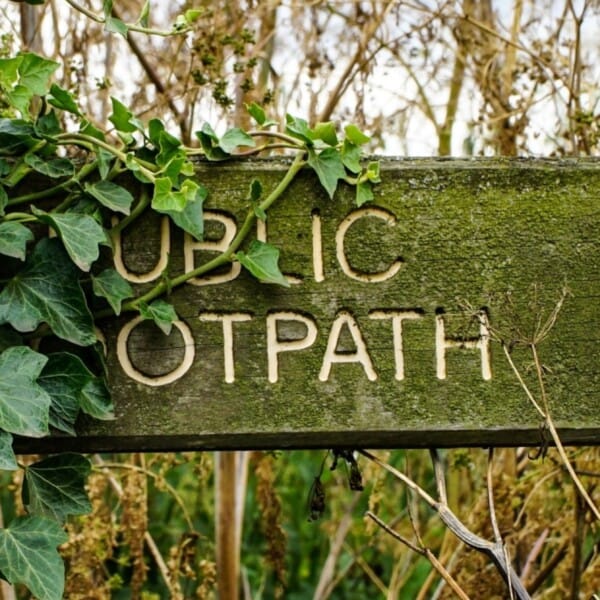 A wooden public footpath sign, partially overgrown with ivy
