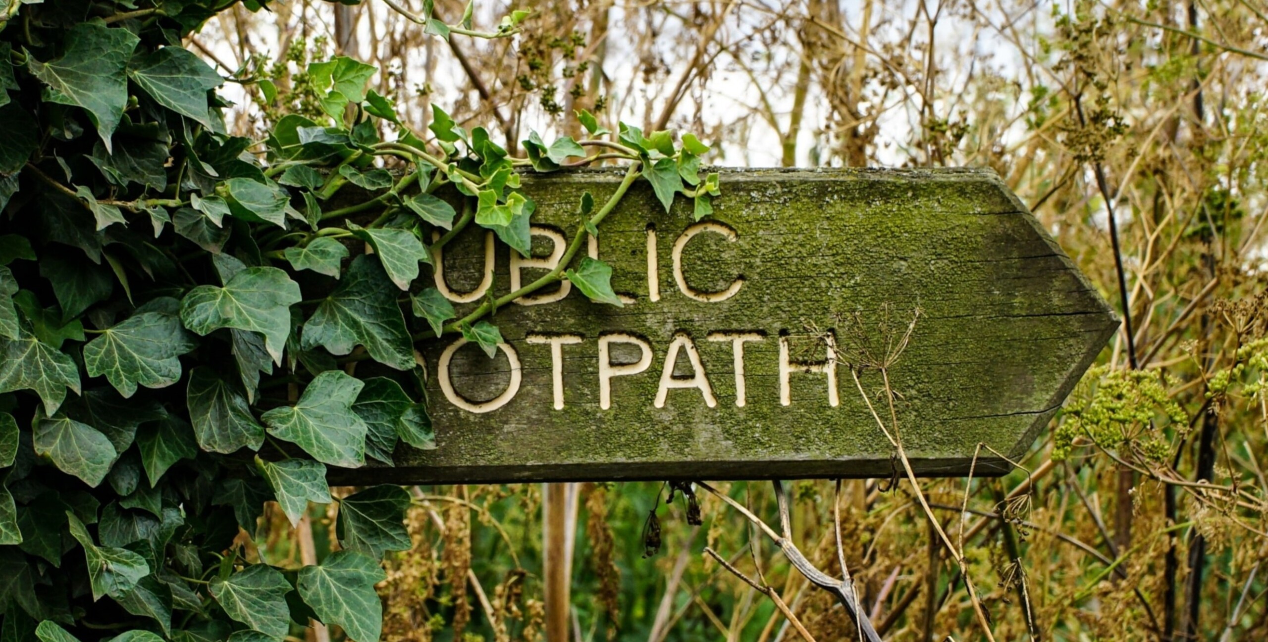 The Lost Paths: A History of How We Walk from Here to There The Lost Paths: A History of How We Walk from Here to There