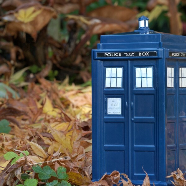 A replica of Doctor Who's police box Tardis sits amongst a pile of brown leaves.