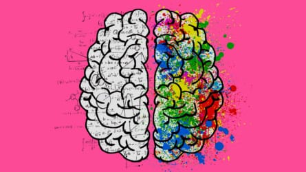 Stem vs. Humanities: The Necessity of Aesthetic Education