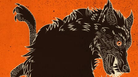 Hunt for the Shadow Wolf: Derek Gow In Conversation with Mary Colwell