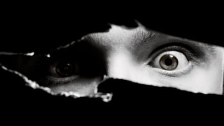 Cannibal Error: A Social History of the ‘Video Nasty’.