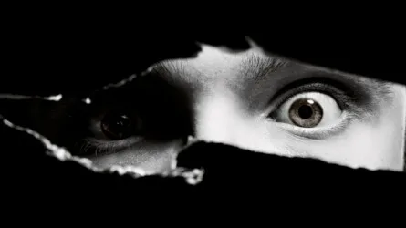 Cannibal Error:  A Social History of the ‘Video Nasty’.