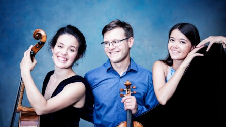 Accio Trio