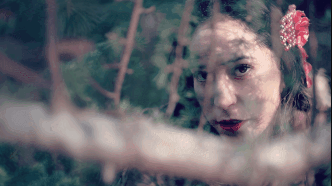 Corazón de la Selva