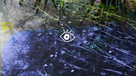 KONTEKST Film Festival 2026: ENTANGLEMENTS